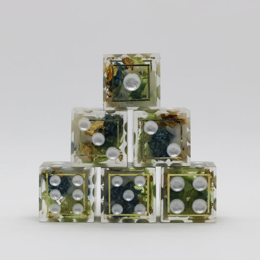Spring Court D6 Set